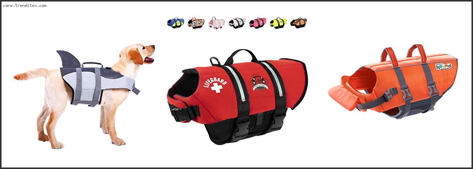 Best Dog Life Jacket Golden Retriever