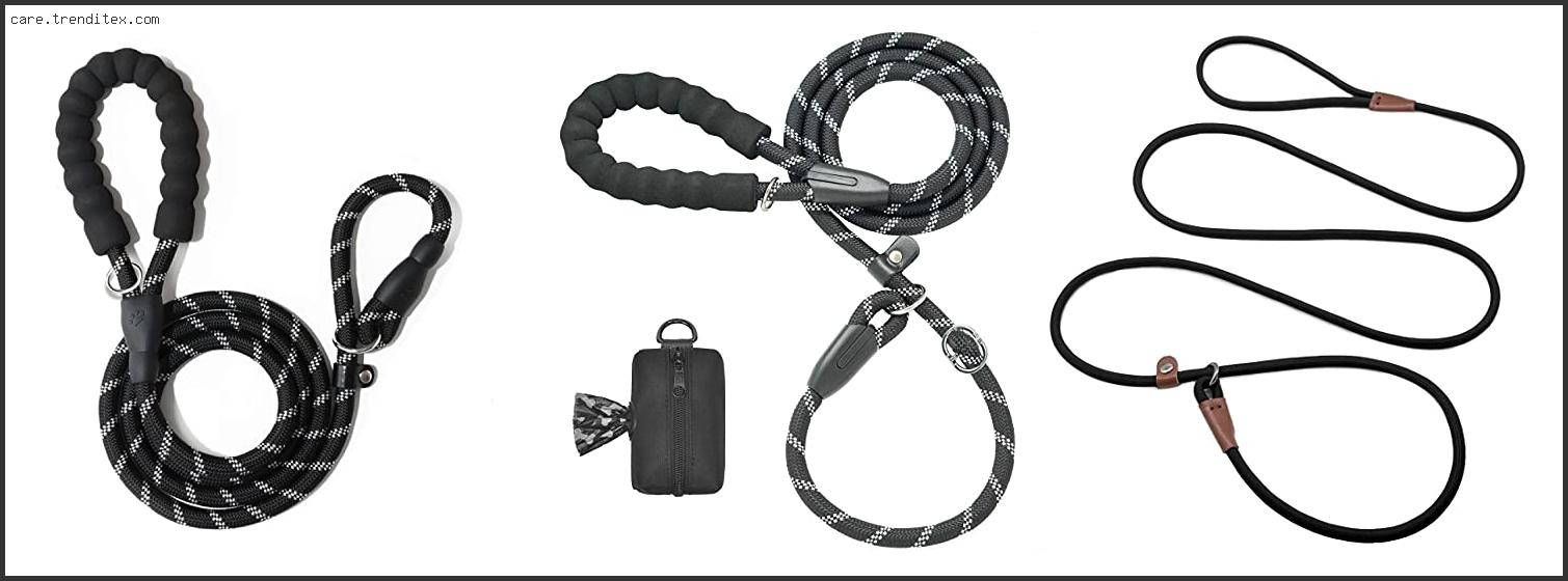 Best Slip Leads For Dogs