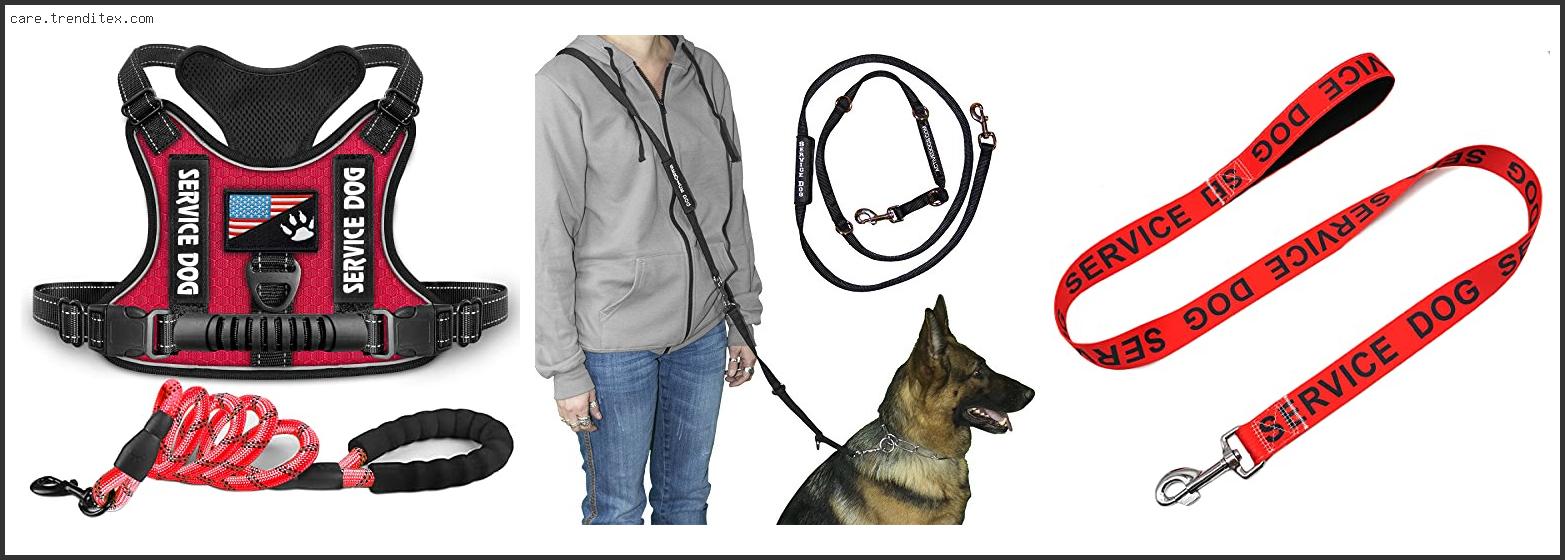 Best Leash For Service Dog