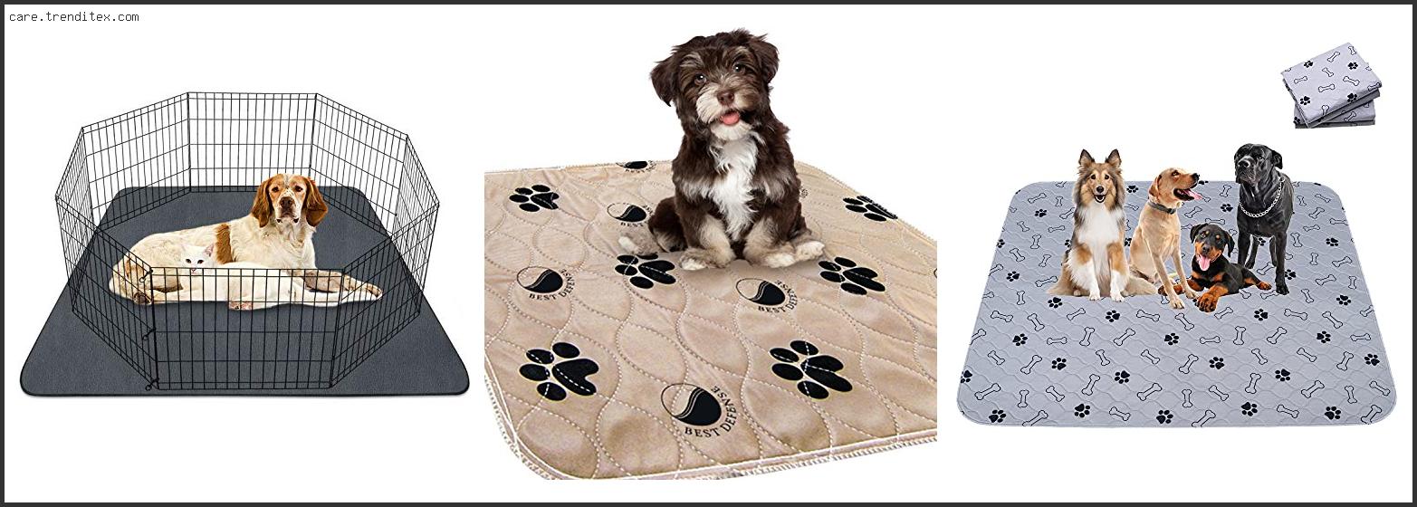 Best Dog Pee Pads Washable