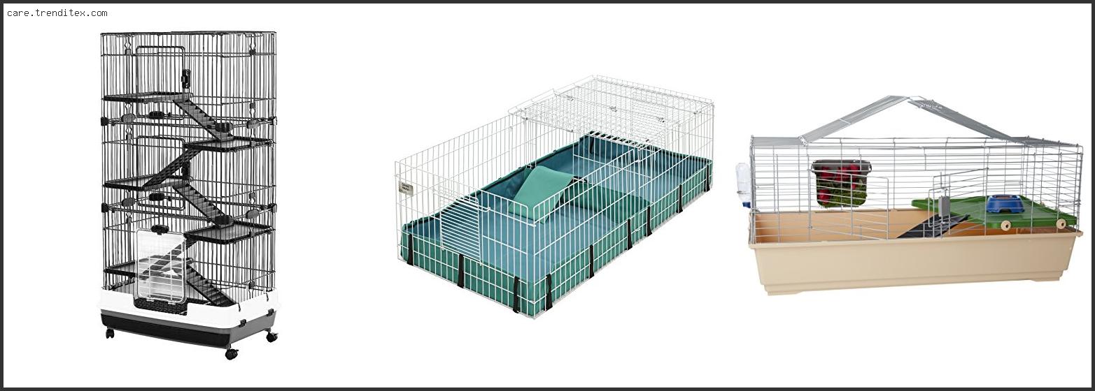 Best Small Animal Cages