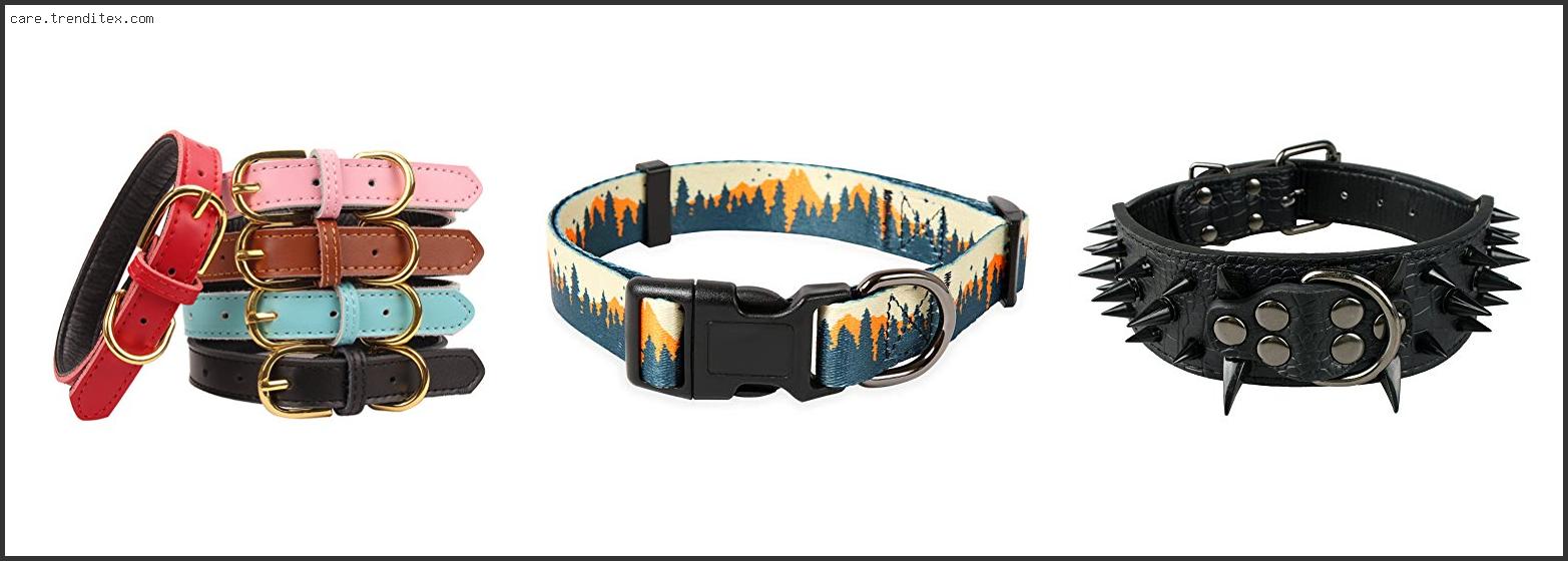 Best Stylish Dog Collars