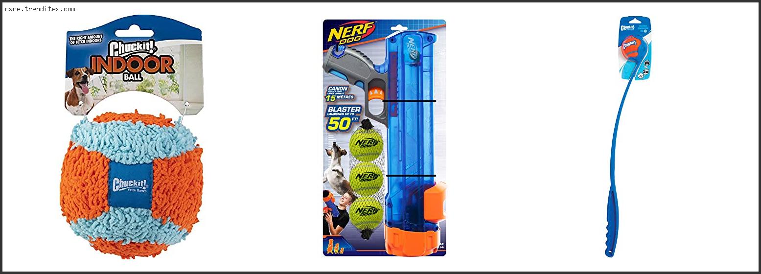 Best Manual Dog Ball Launcher