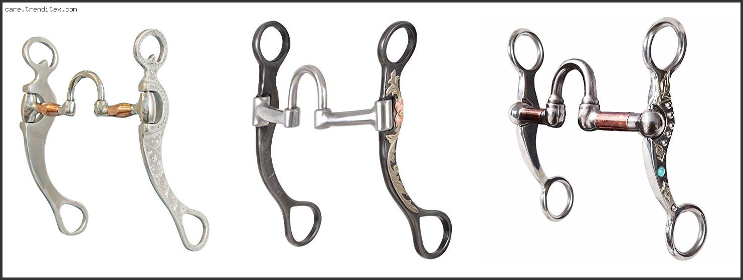 Best Correction Bits For Horses