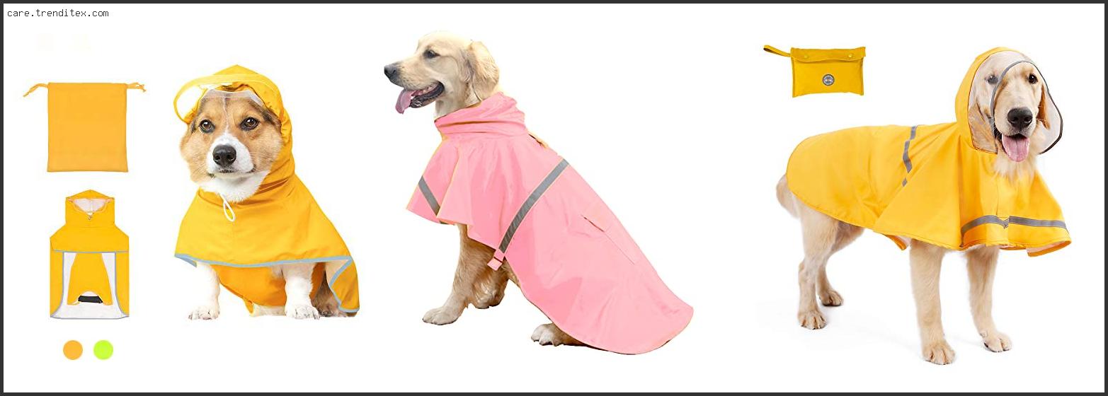 Best Dog Raincoat With Hood