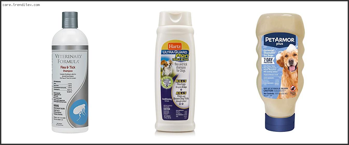 Best Anti Tick Shampoo For Dogs