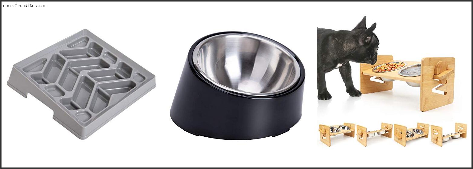 Best Dog Bowls For French Bulldogs