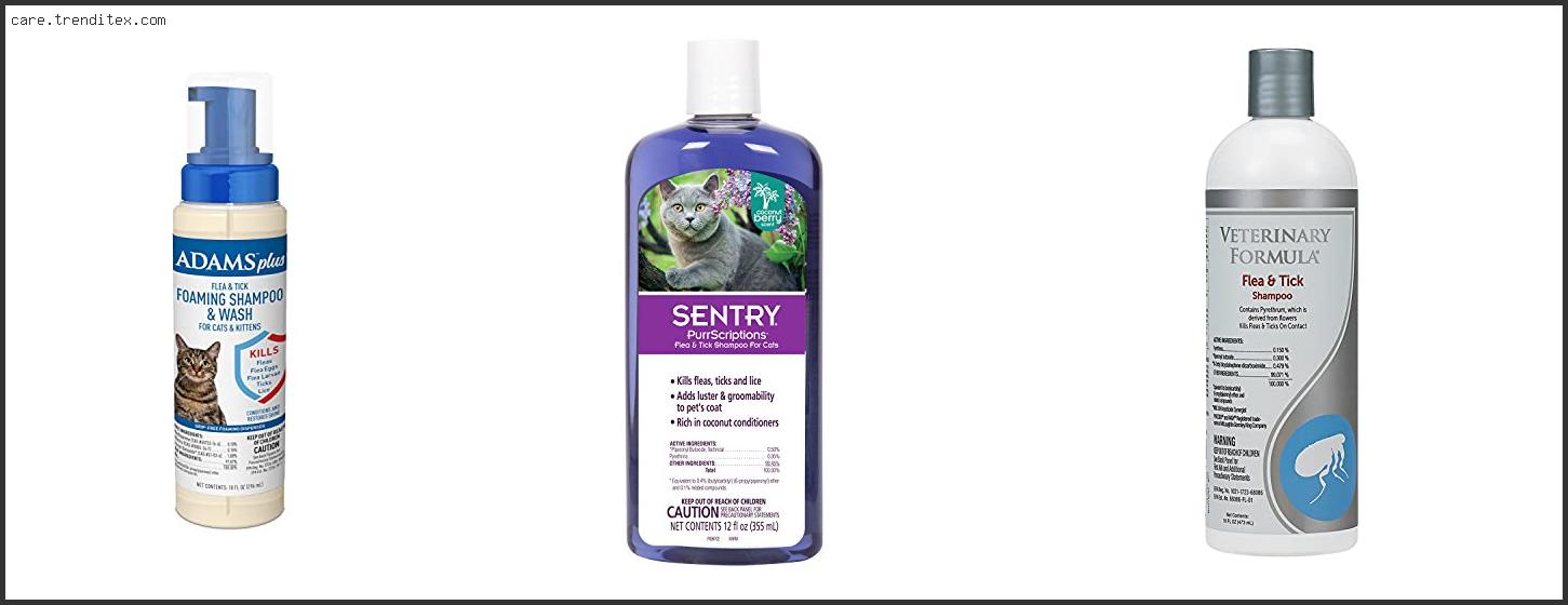 Best Cat Shampoo For Fleas And Ticks