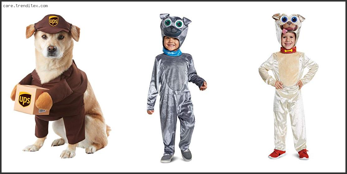 Best Big Dog Costumes