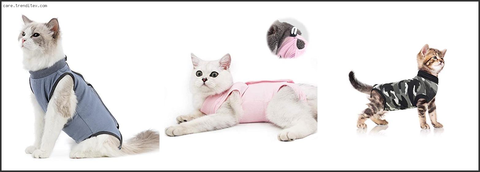 Best Recovery Suit For Cats