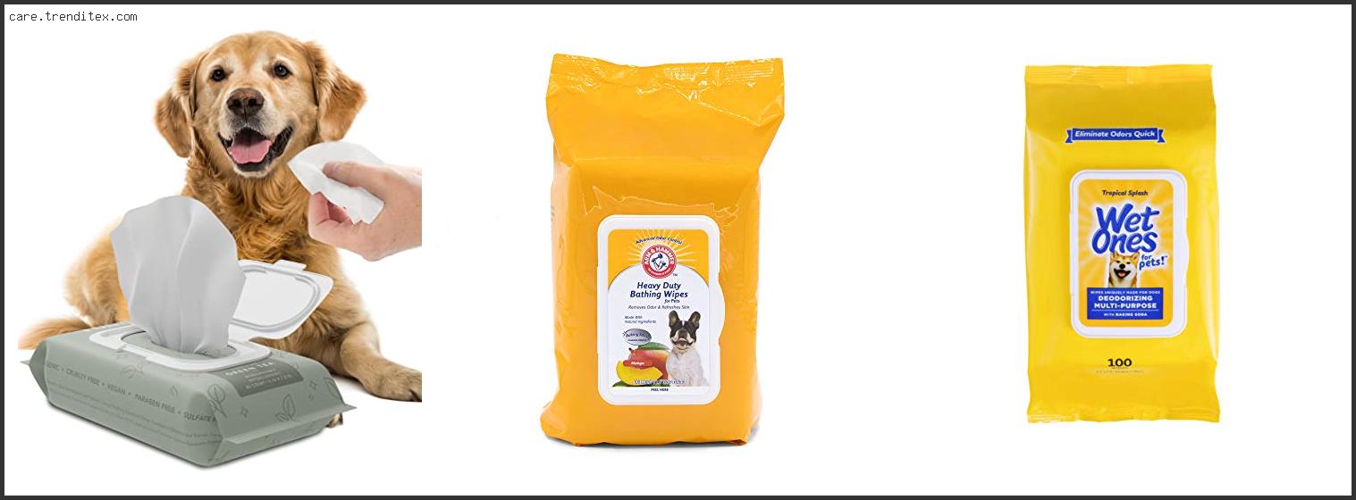 Best Dog Wipes For Smell