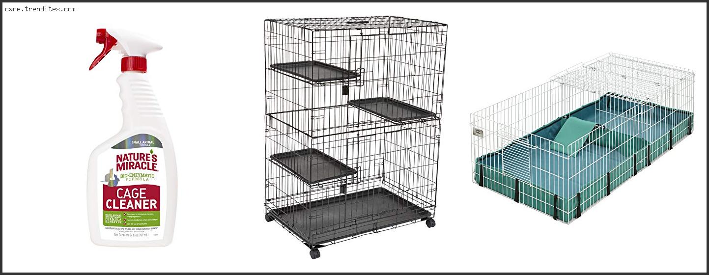 Best Rat Cages In Australia