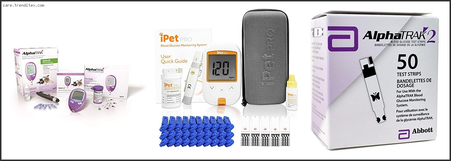 Best Glucose Meter For Cats