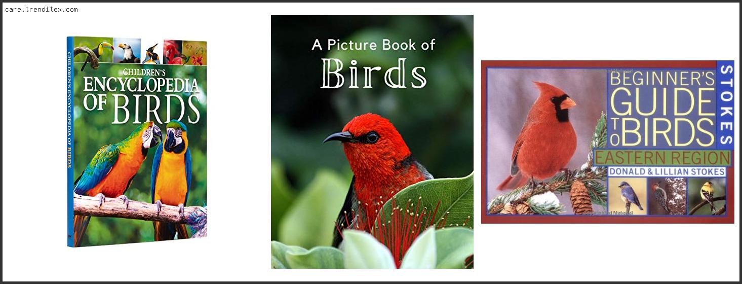 Best Bird Picture Books