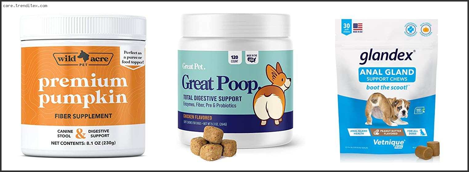 Best Fiber Supplement For Dogs