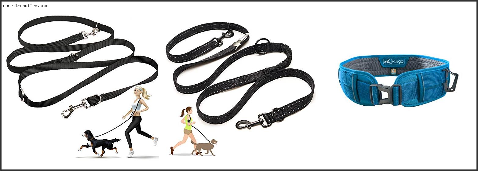 Best Hands Free Dog Leash For Small Dogs