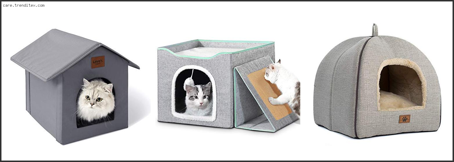 Best Cat Houses In Nevada