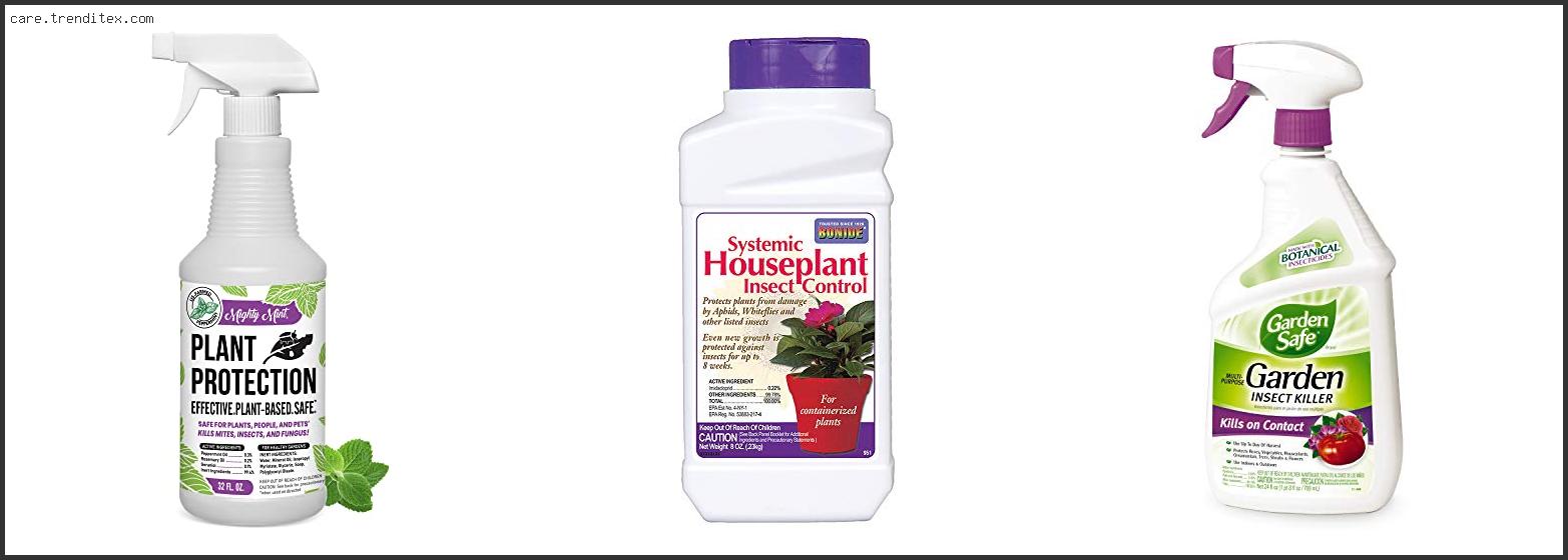 Best Insecticide For Plants