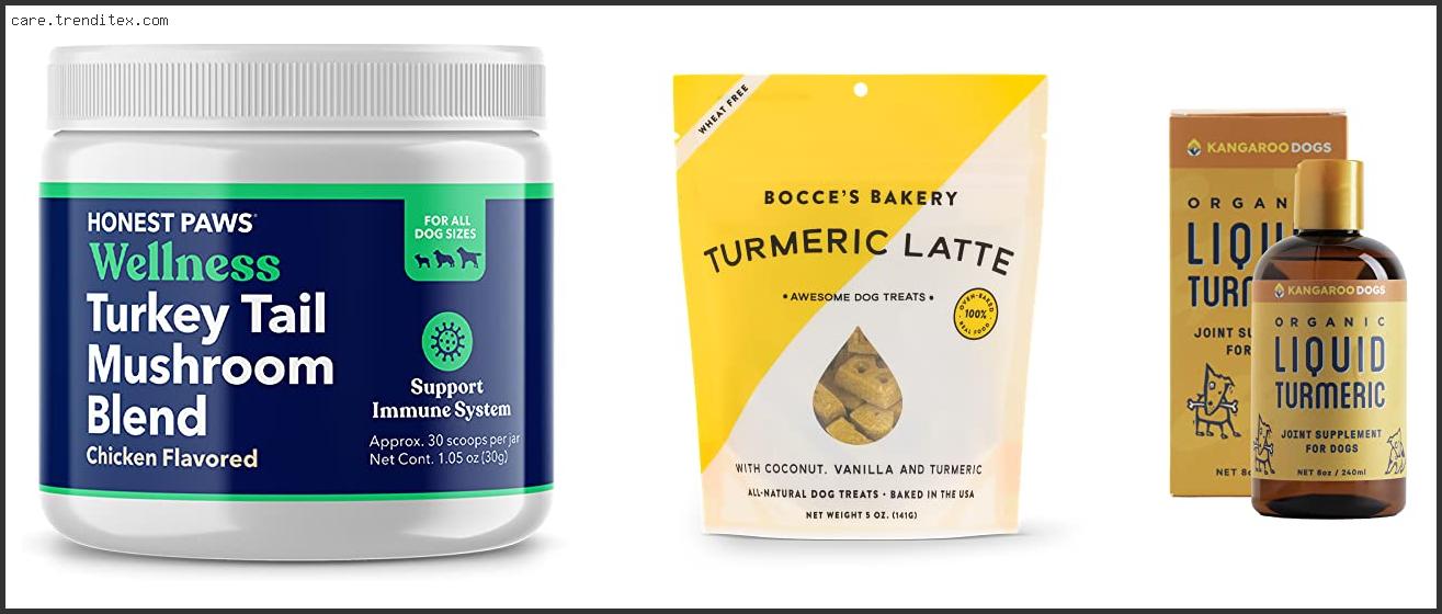 Best Turmeric For Dogs With Cancer