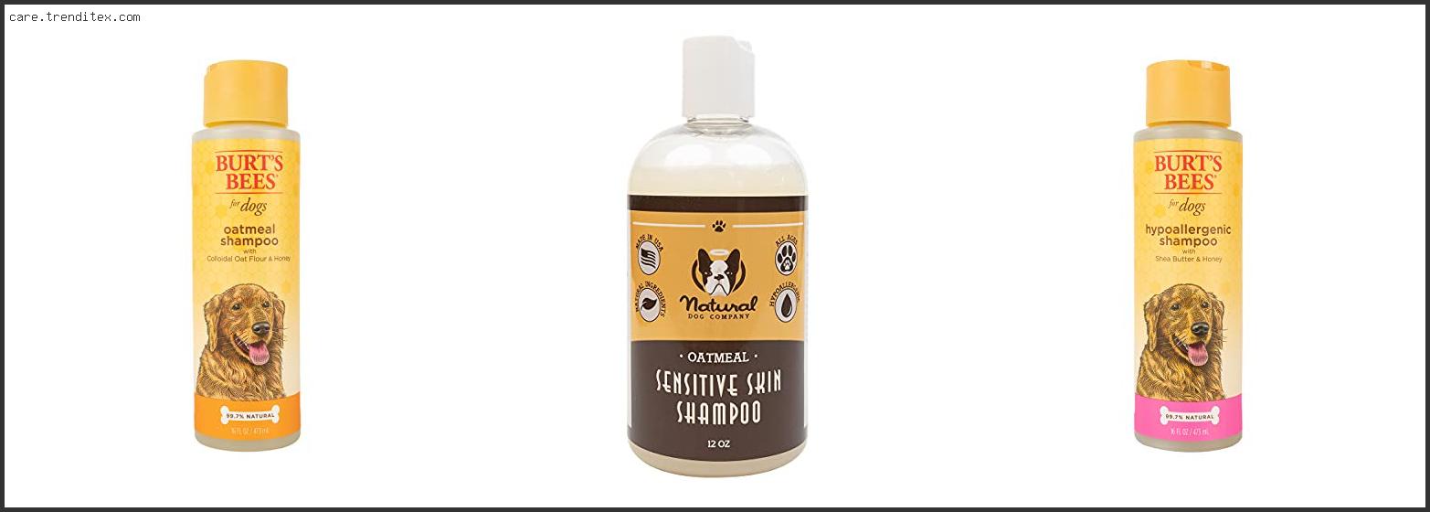 Best All Natural Shampoo For Dogs