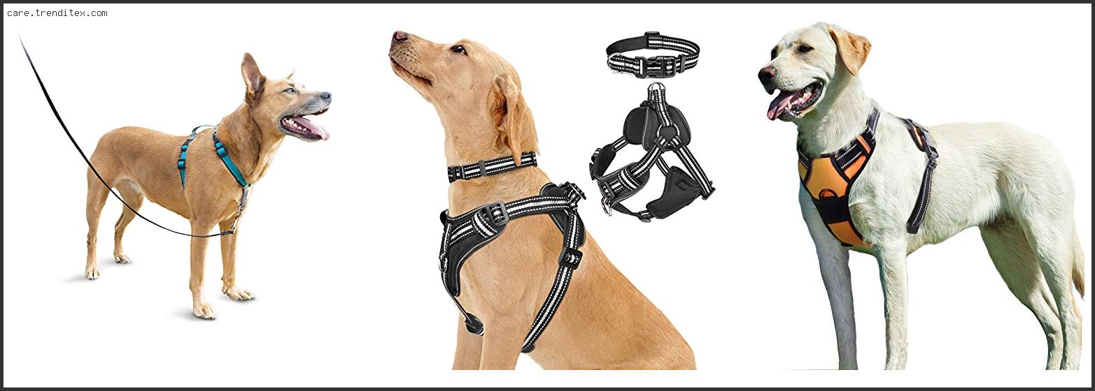 Best No Pull Dog Harness For Running