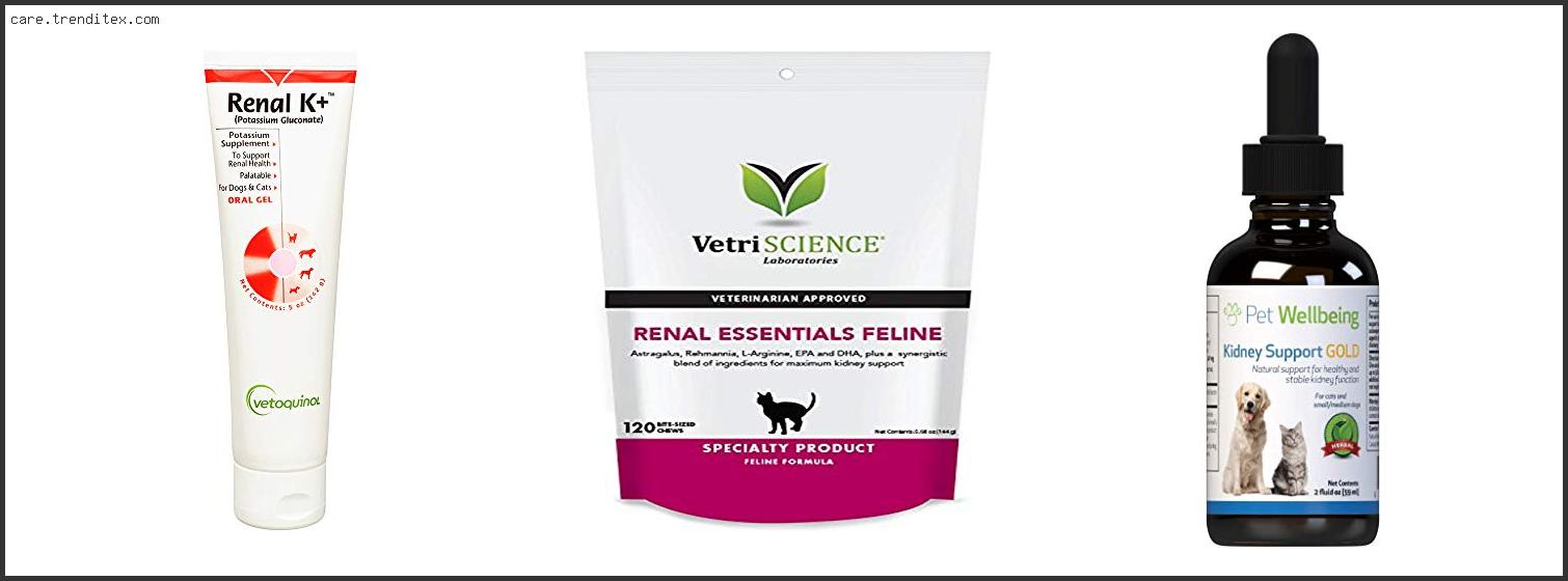 Top 10 Best Supplements For Cats With Kidney Disease – To Buy Online Best Supplements For Cats With Kidney Disease