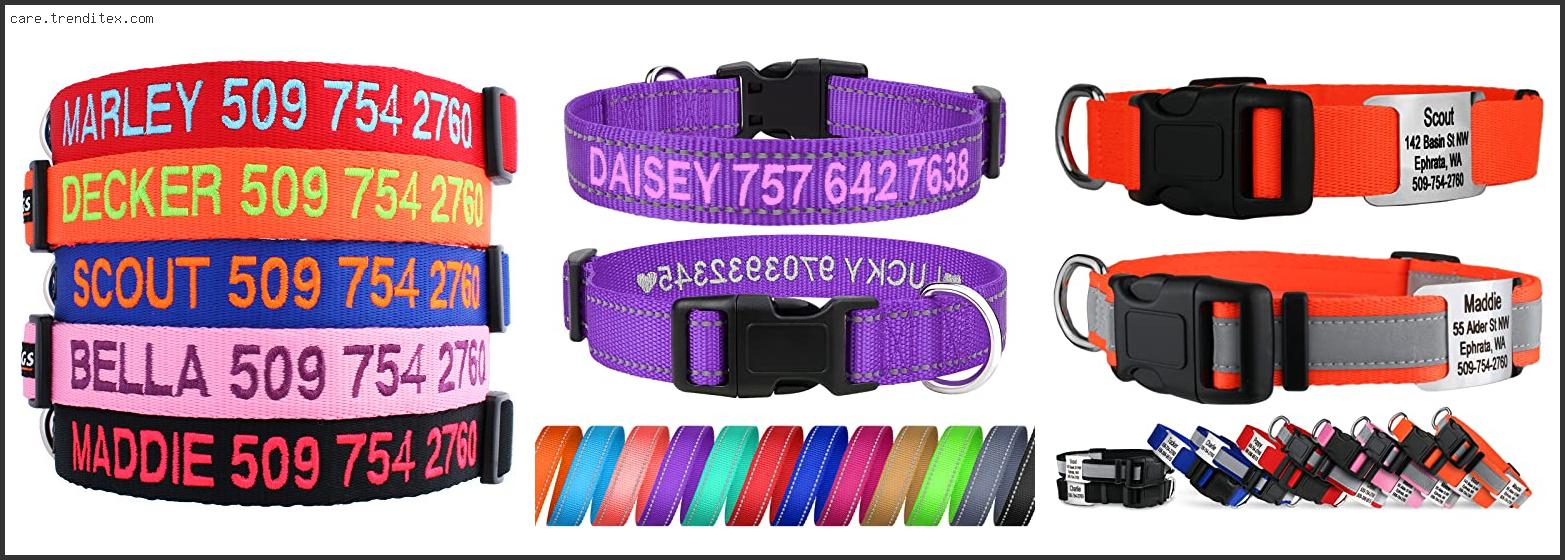 Best Personalized Dog Collars