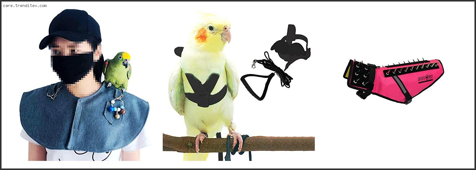 Best Small Bird Harness