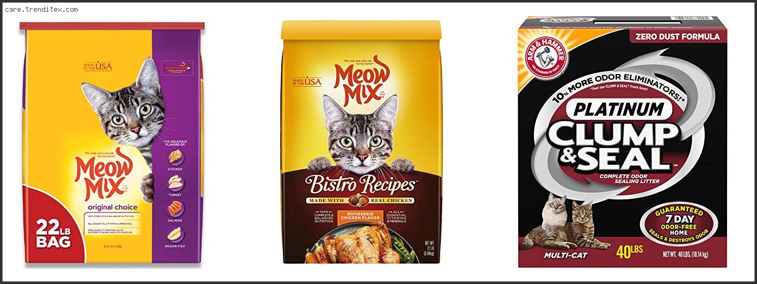 Best Dry Cat Food At Petsmart