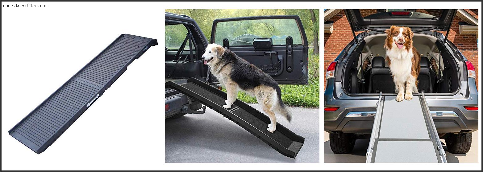 Best Dog Ramps For Cars