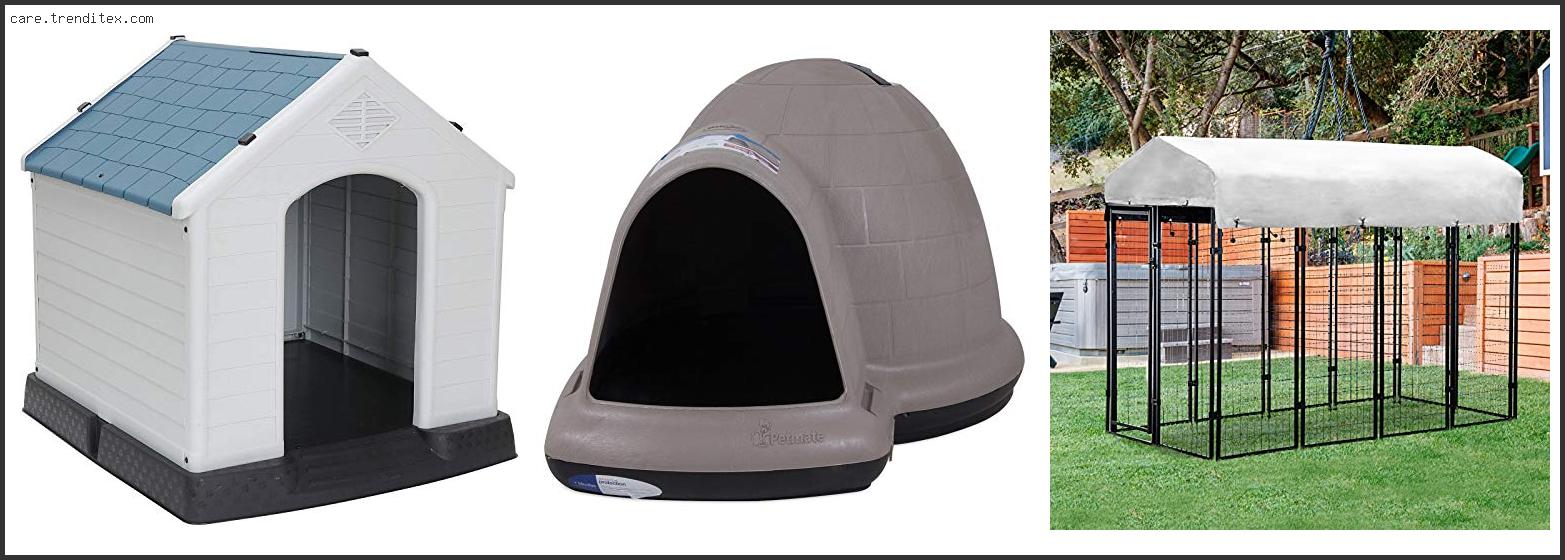 Best Dog Houses For Big Dogs