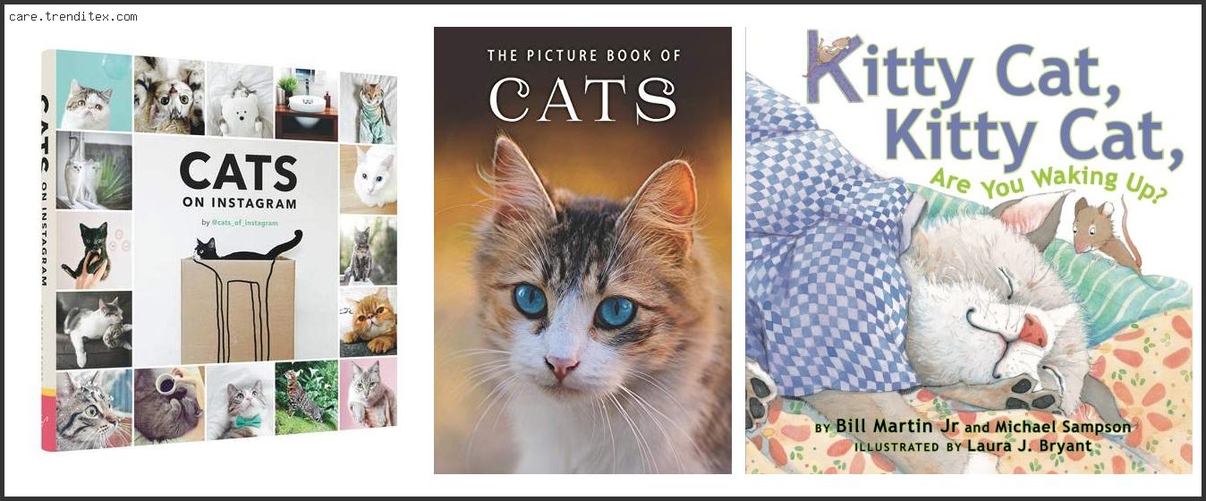 Best Cat Picture Books