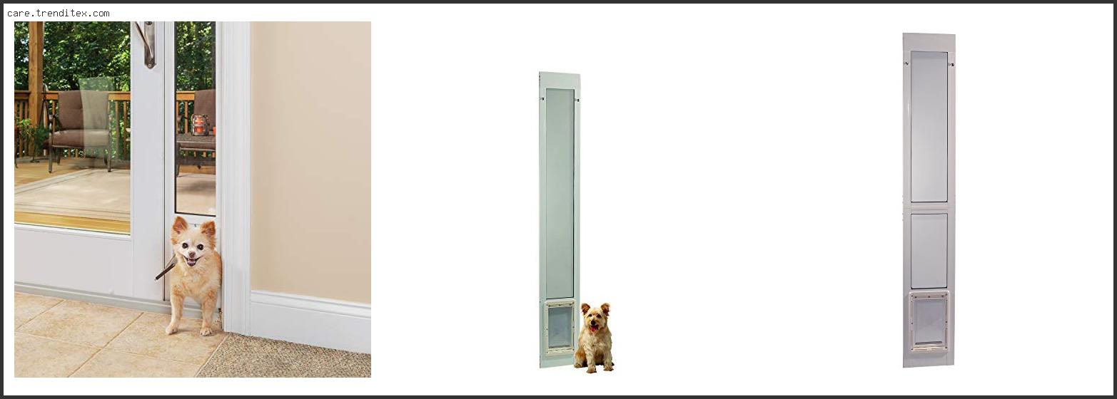 Best Cat Door For Sliding Glass Door