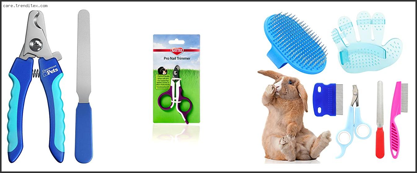 Best Nail Clippers For Rabbits