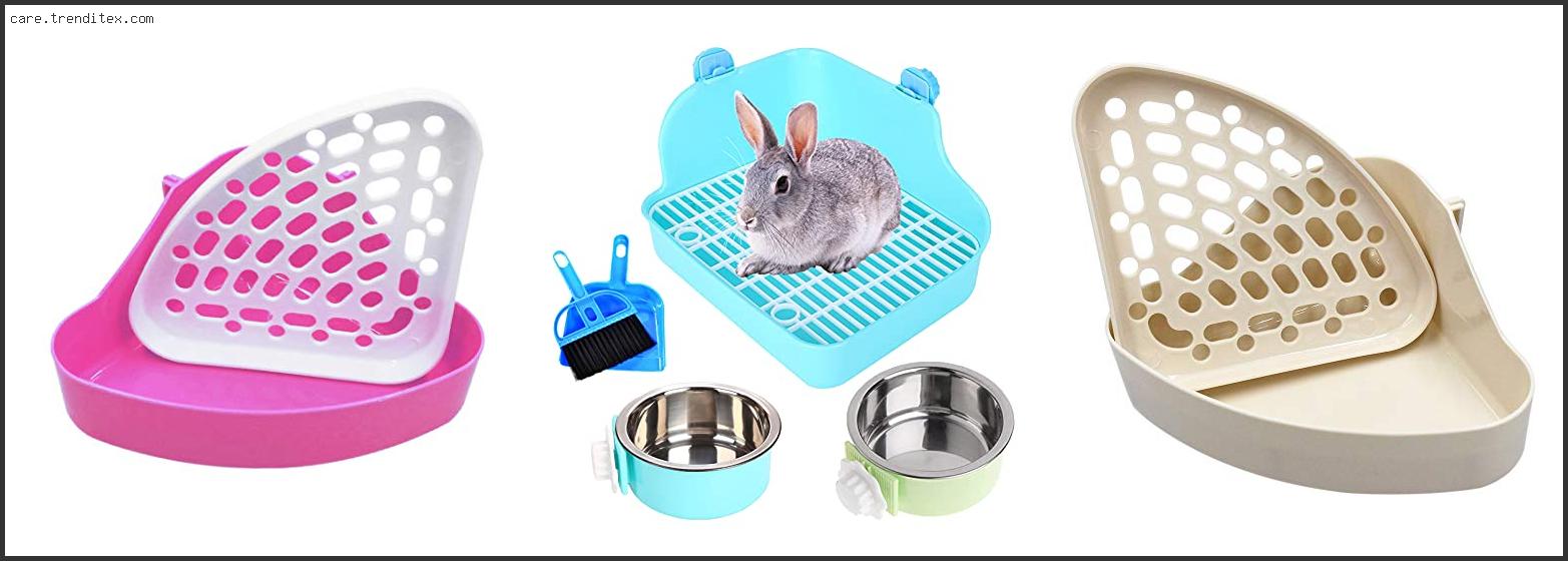 Best Rat Litter Box