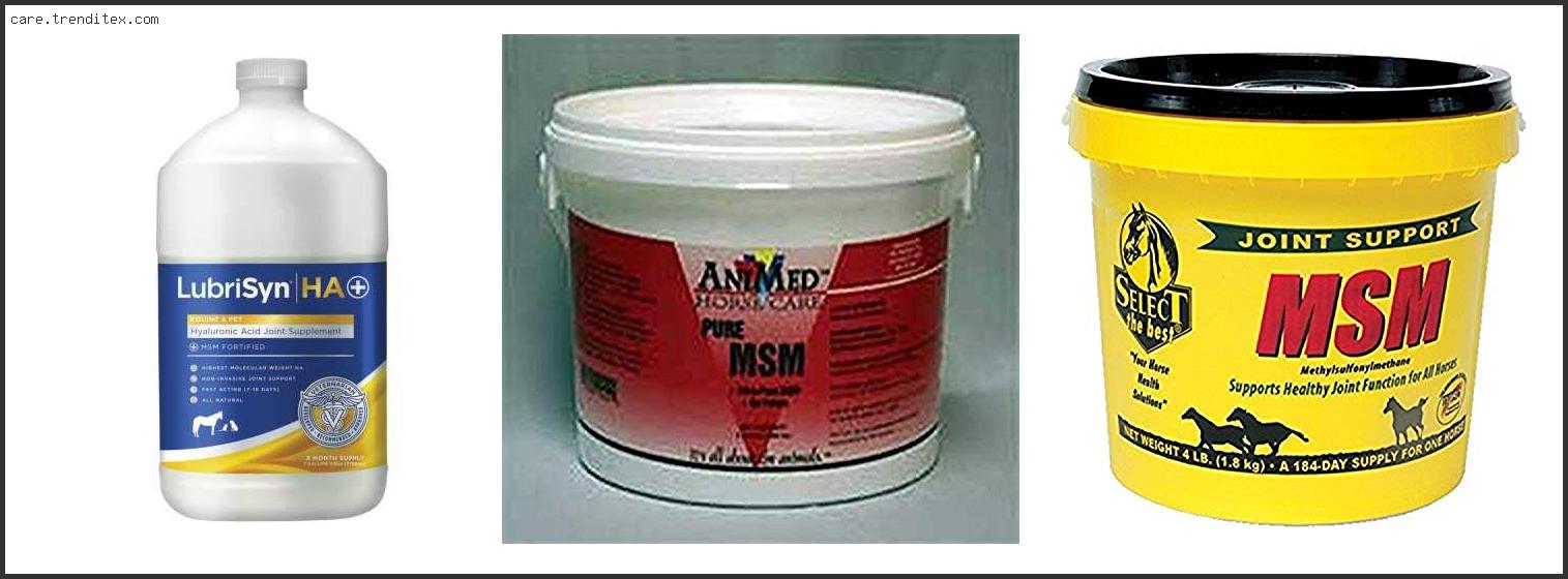 Best Msm Supplement For Horses