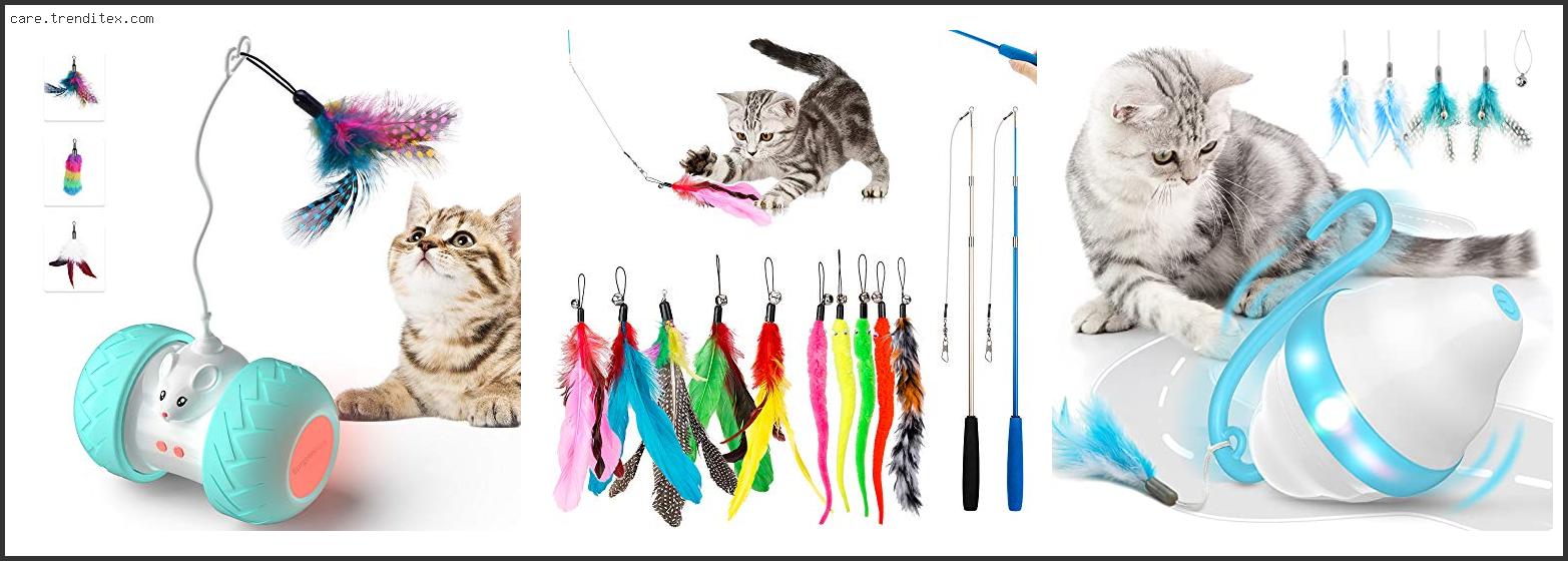 Best Cat Toys For Exercise