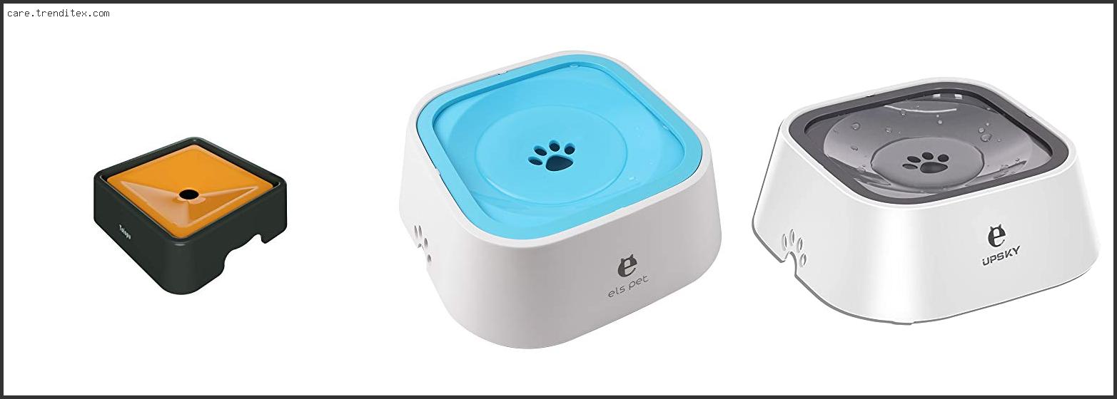 Best Water Bowl For Dogs With Beards