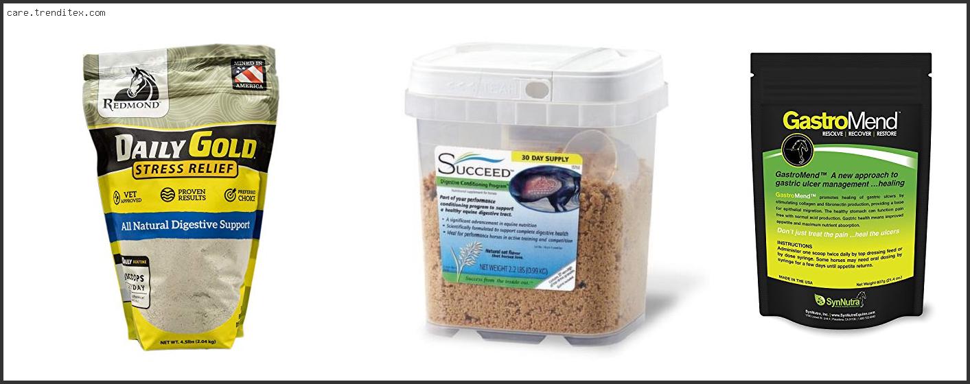 Best Ulcer Supplement For Horses