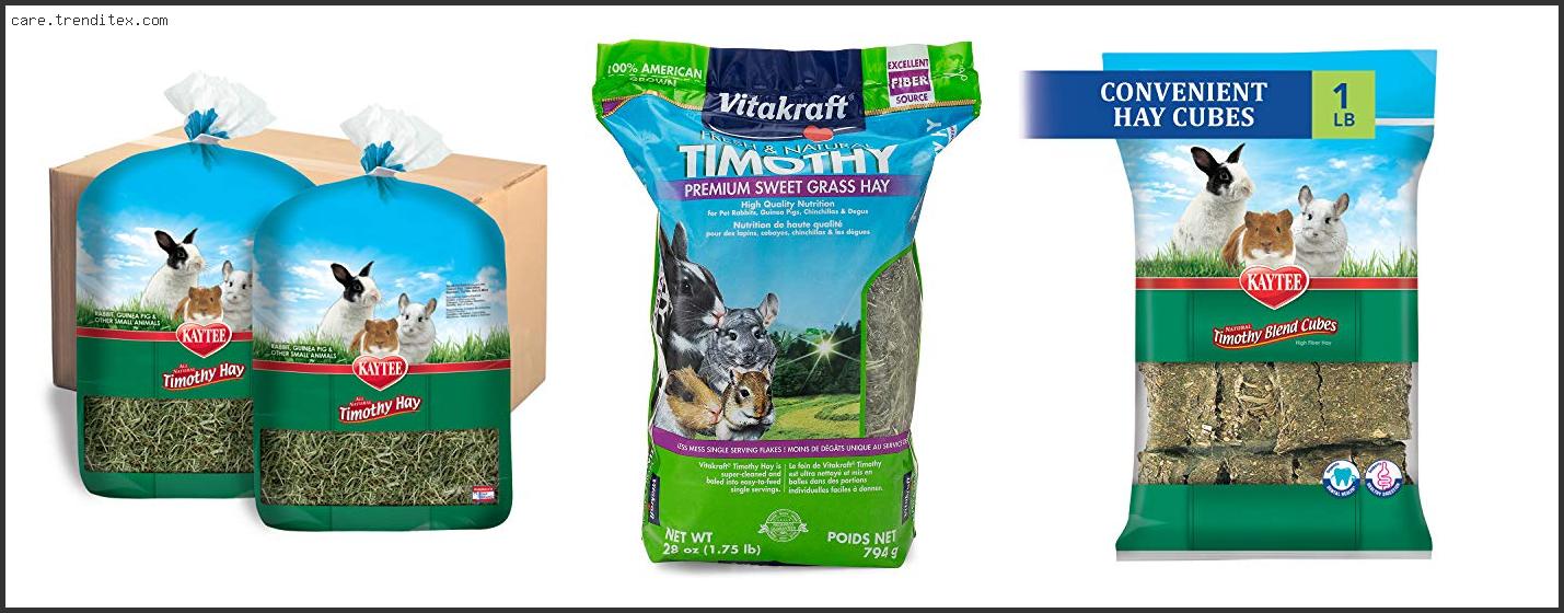 Best Dust Free Hay For Rabbits