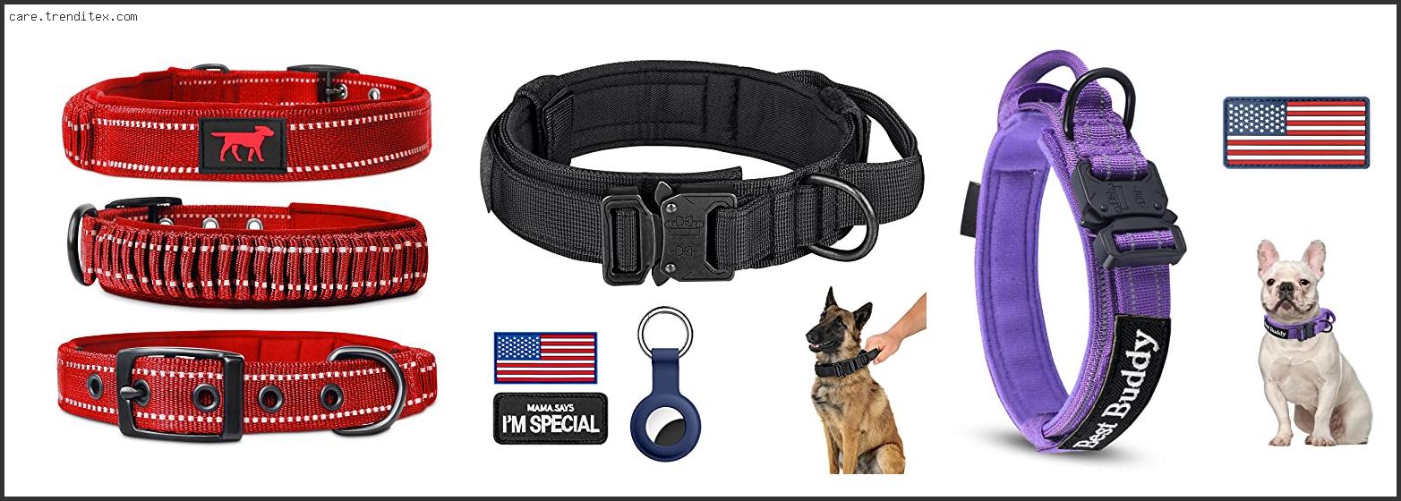 Best Dog Collar With Handle