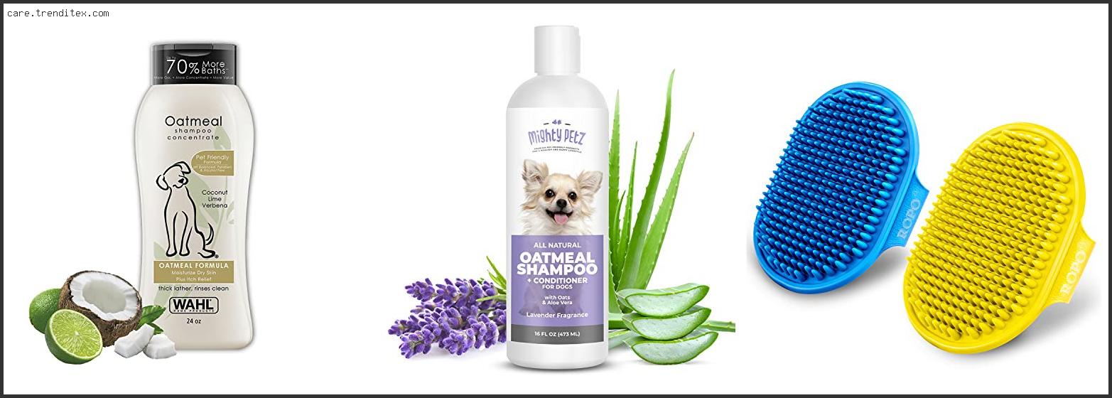 Best Dog Shampoo For Chihuahua