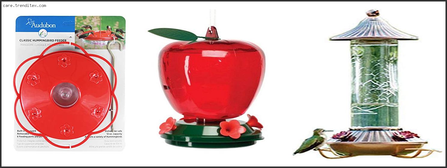 Top 10 Best Hummingbird Feeder Audubon Reviews For You Best Hummingbird Feeder Audubon