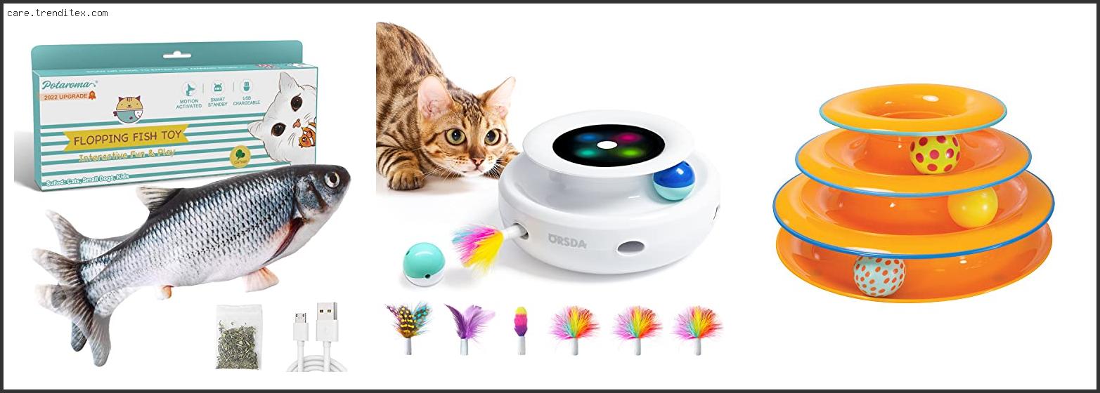 Best Interactive Cat Toys For Indoor Cats