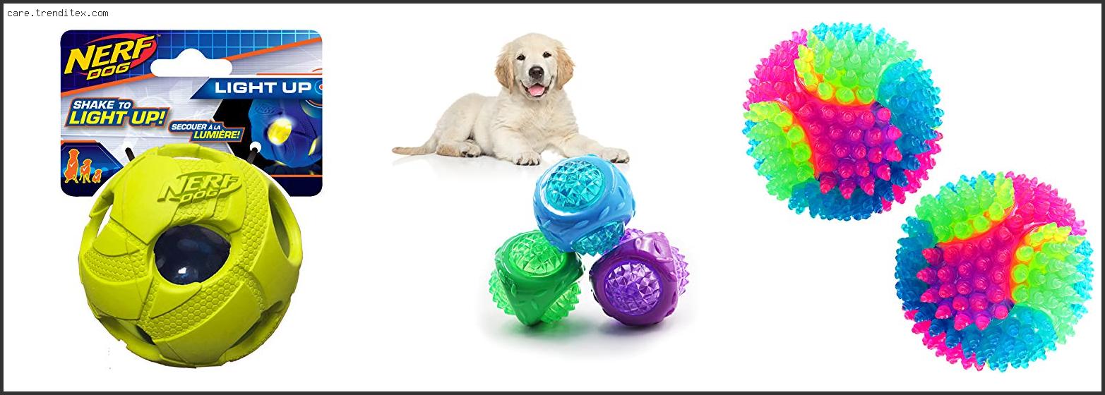 Best Light Up Ball For Dogs