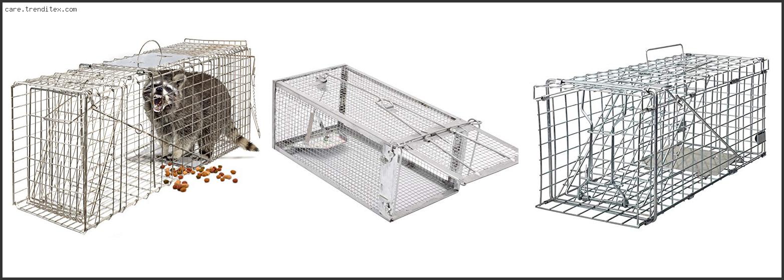 Top 10 Best Live Animal Trap With Buying Guide Best Live Animal Trap