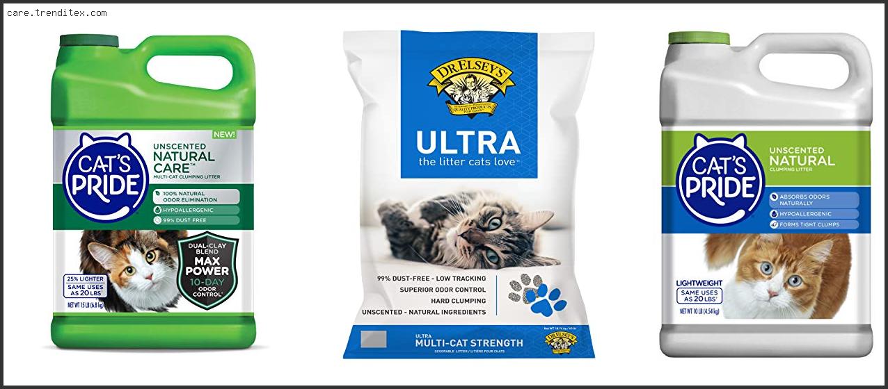 Best Clumping Cat Litter Unscented