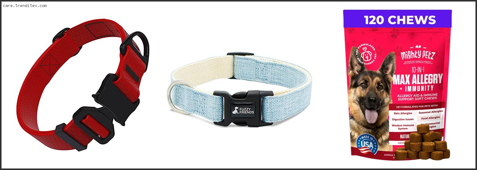 Best Collar For Dog With Allergies