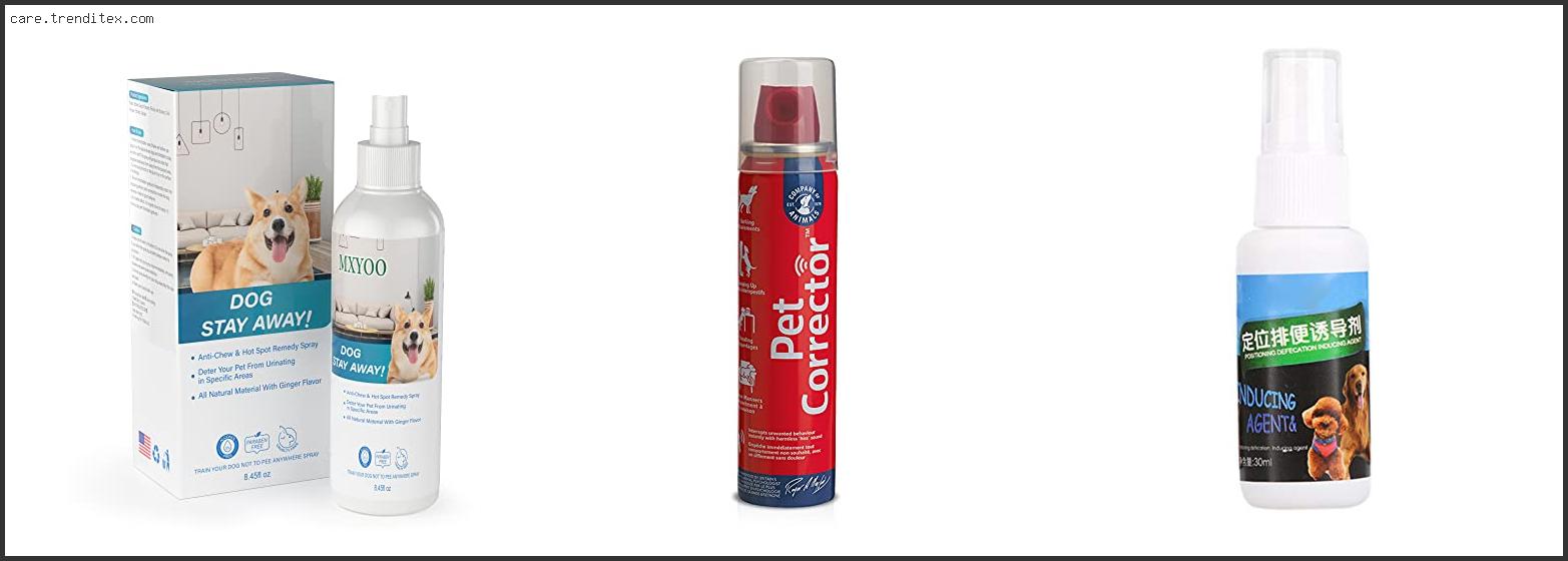 Best Spray For Potty Training Dogs