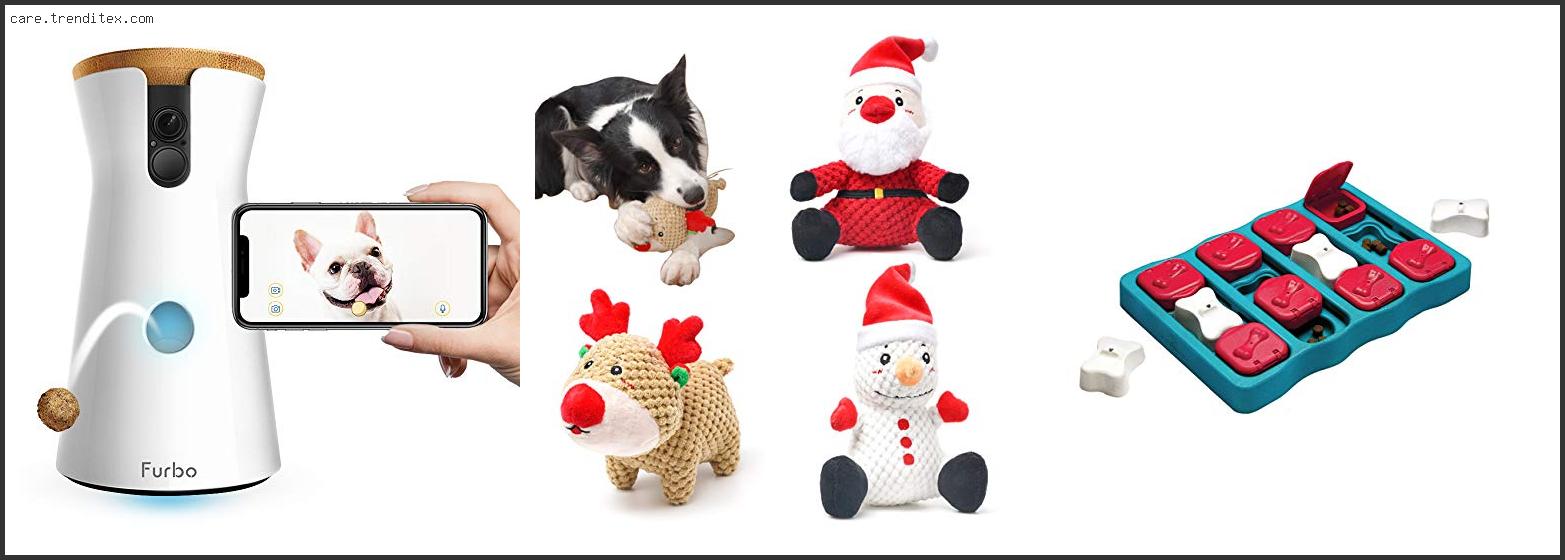 Best Dog Christmas Gifts